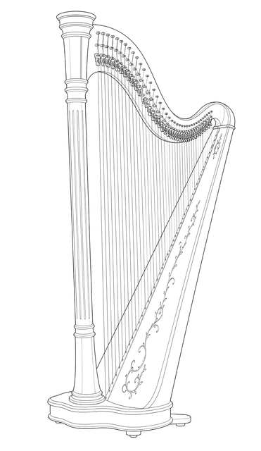 Technical line drawing of Salvi Ana Deluxe
