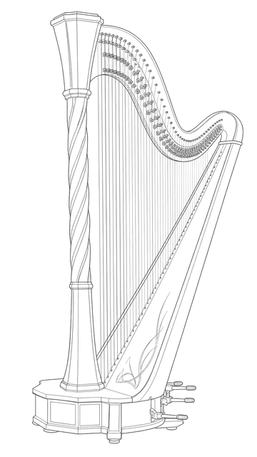 Technical line drawing of Salvi Apollo