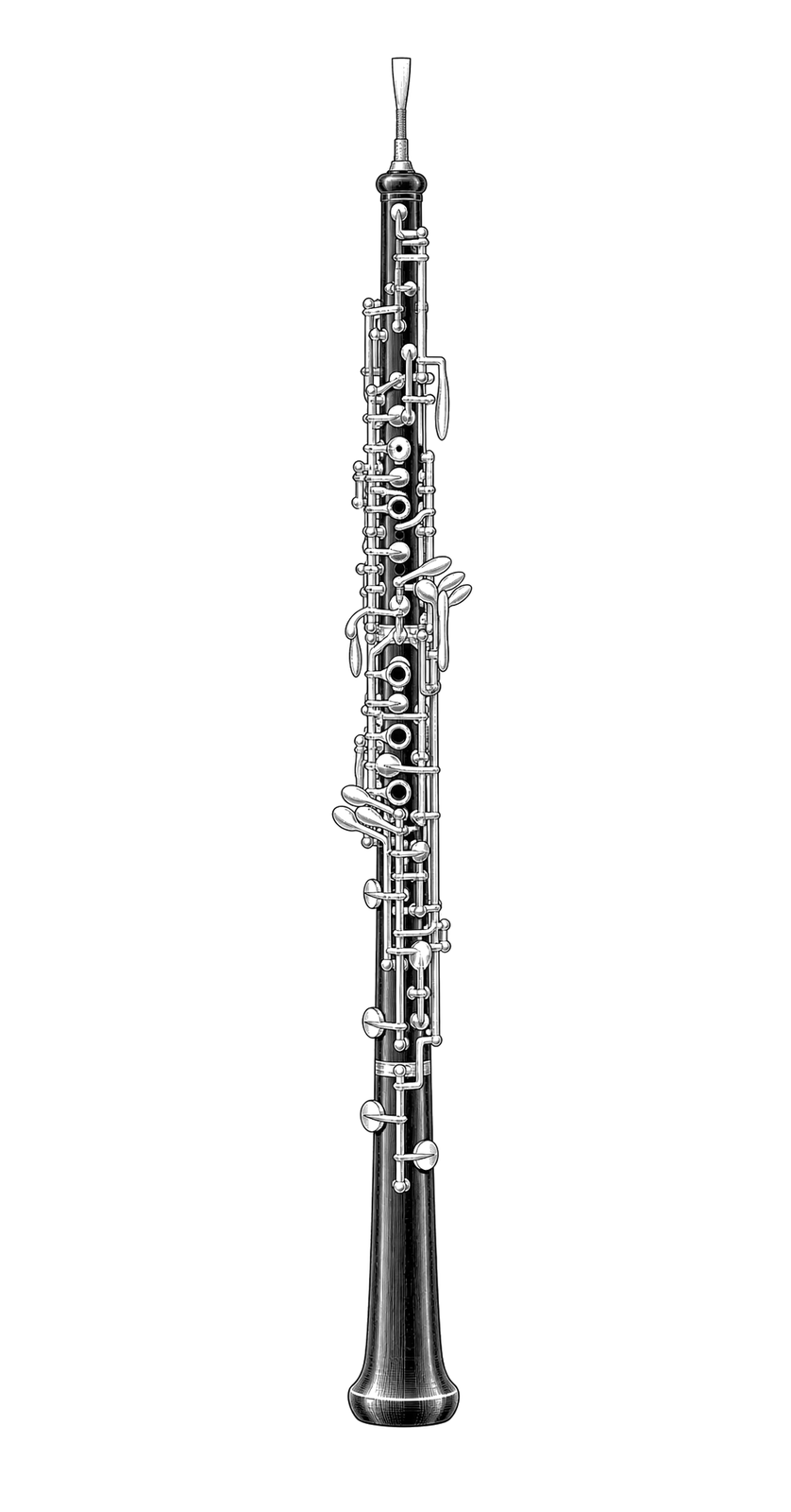 Technical line drawing of Buffet Crampon Virtuose Oboe