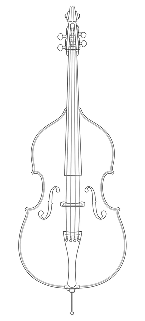 Technical line drawing of Andreas Eastman VB305 Double Bass